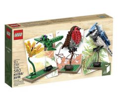 LEGO Ideas 21301 Birds