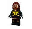 LEGO® Super Heroes comcon054 Vixen - San Diego Comic-Con 2017 Exclusive blister pack