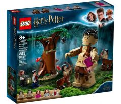 LEGO 75967 Forbidden Forrest: Umbridge's Encounter - Harry Potter: Order of the Phoenix