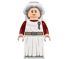 LEGO (76398) Madam Poppy Pomfrey - Harry Potter