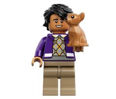 LEGO (21302) Raj Koothrappali - LEGO Ideas (CUUSOO)